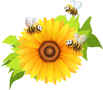 information about honey bees california 