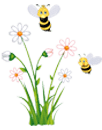 information about honey bees california 